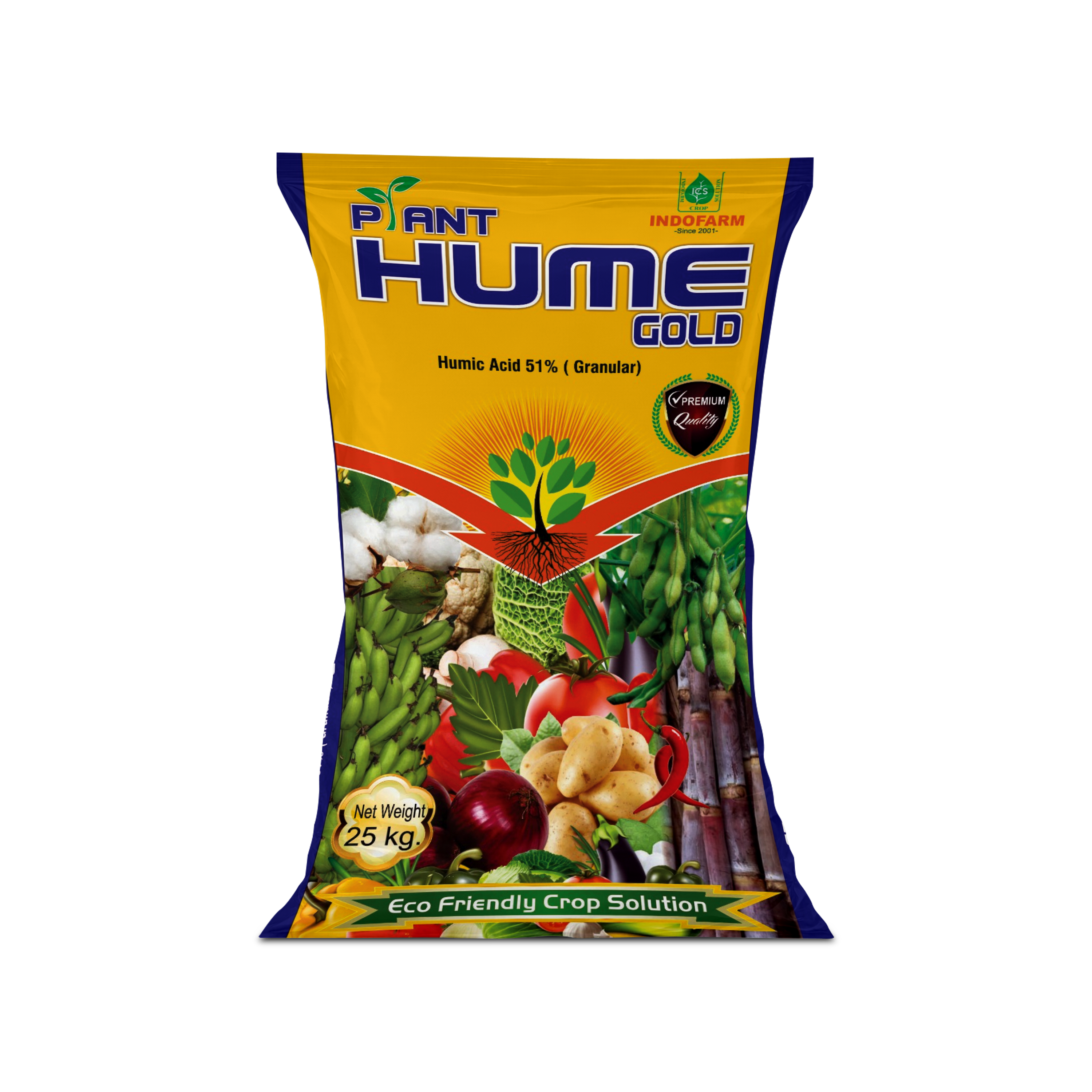 Plant Hume Gold